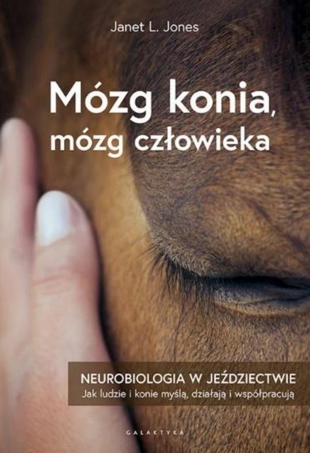 Okładka książki "Mózg konia, mózg człowieka" autorstwa Janet L. Jones. Na okładce widoczne jest zbliżenie na głowę konia z delikatnie dotykającą go dłonią. Tytuł oraz podtytuł "Neurobiologia w jeździectwie. Jak ludzie i konie myślą, działają i współpracują" są umieszczone na tle brązowej sierści konia. Na dole okładki widoczne jest logo wydawnictwa Galaktyka.