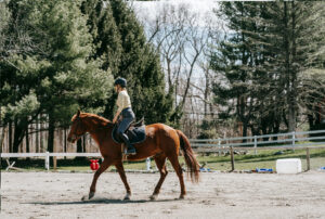 Odznaki jeździeckie PZJ 2025 – Egzaminy i korzyści z posiadania odznak