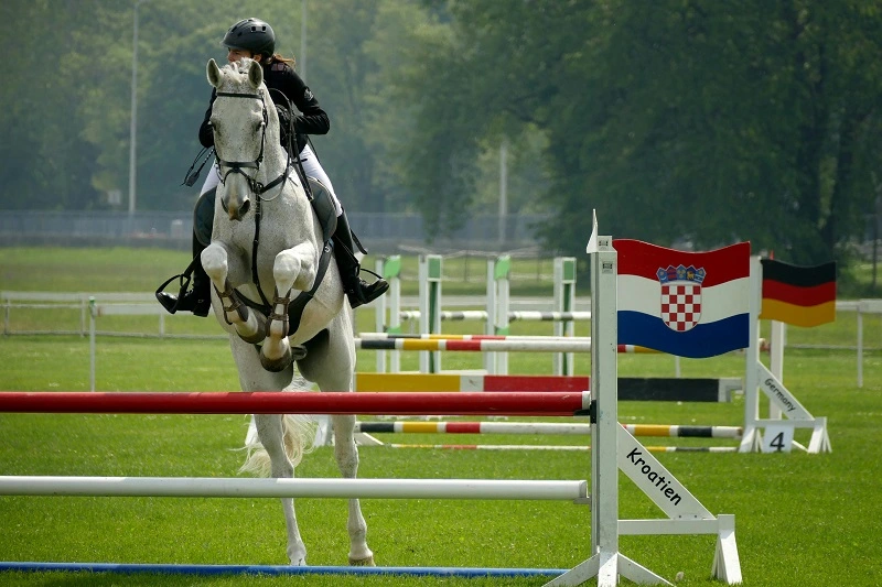 oznaczenia w zawodach jeździeckich