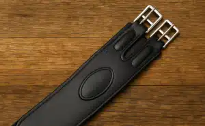 Popręg jeździecki – dlaczego jest tak ważny?