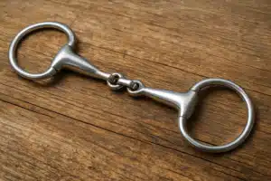 Wędzidła – rodzaje, dobór i zastosowanie u koni sportowych i rekreacyjnych