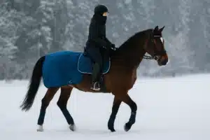 jazda konna zimą