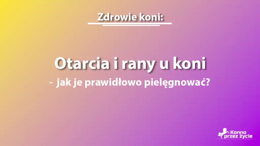Otarcia i rany u koni - grafika