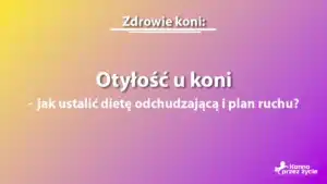 Otyłość u koni - grafika