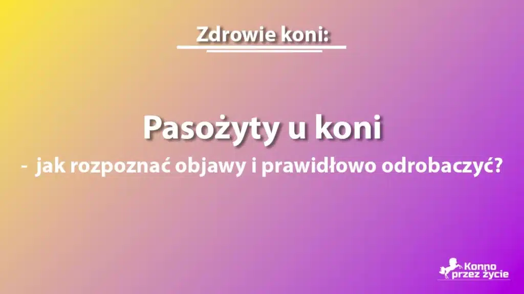 Pasożyty u koni - grafika