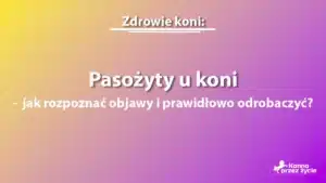 Pasożyty u koni - grafika