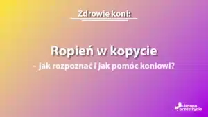 Ropień w kopycie - grafika