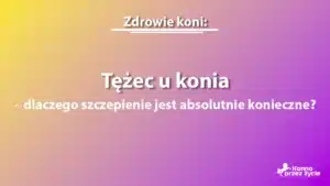 Tężec u konia
