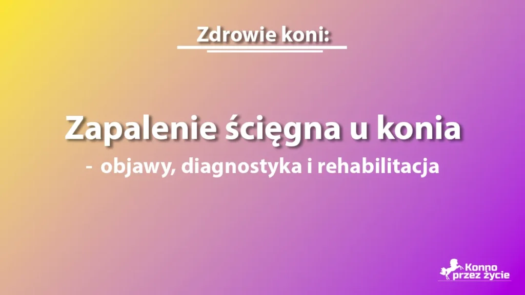 Zapalenie ścięgna u konia