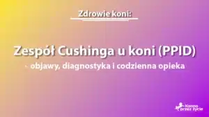 Zespół Cushinga u koni