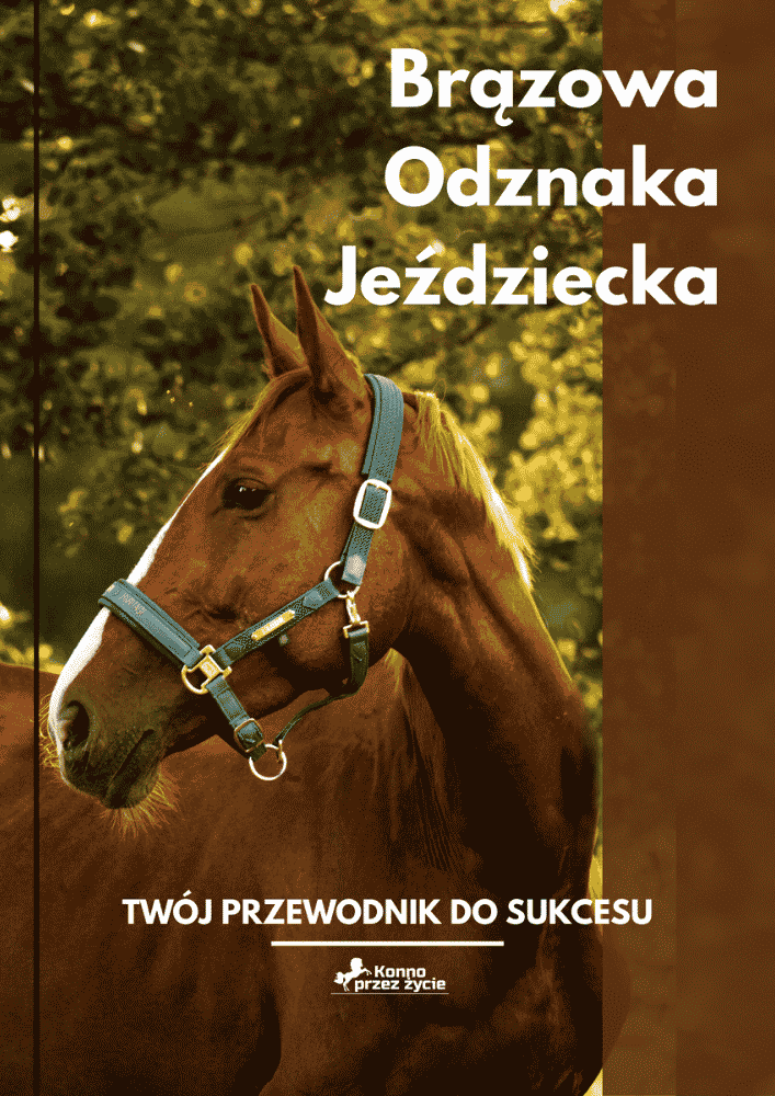 Brązowa Odznaka Jeździecka