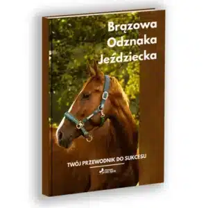 Brązowa Odznaka Jeździecka ebook