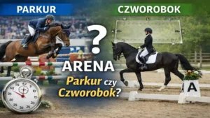 Arena zawodów jeździeckich – co to jest i czym różni się od parkuru oraz czworoboku?