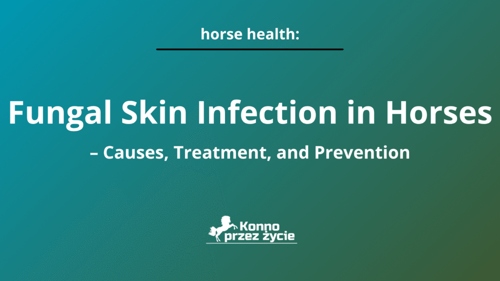 Fungal Skin Infection in Horses