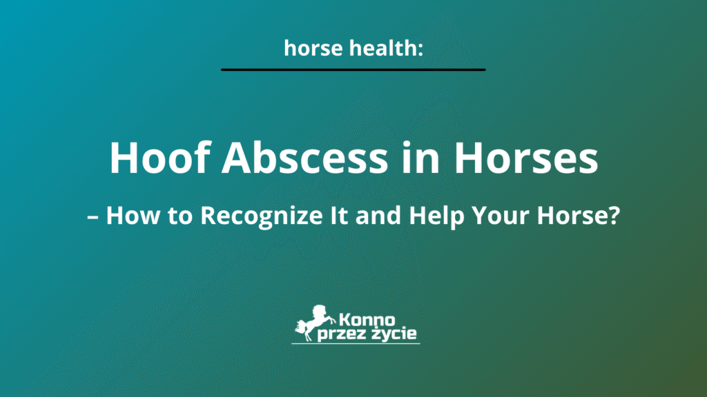 Hoof abscess in horses