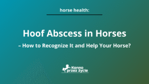 Hoof Abscess in Horses – How to Recognize It and Help Your Horse?
