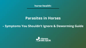 Parasites in Horses – Symptoms You Shouldn’t Ignore & Deworming Guide
