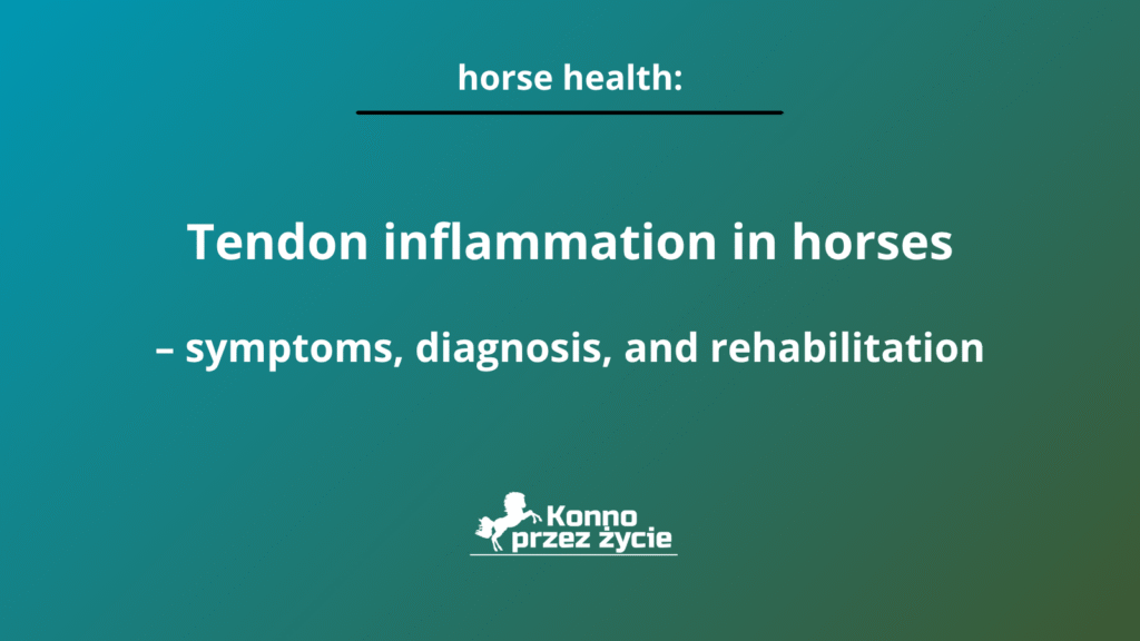 Tendon inflammation in horses