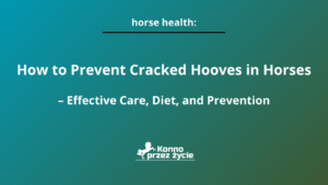 How to Prevent Cracked Hooves in Horses? – Effective Care, Diet, and Prevention